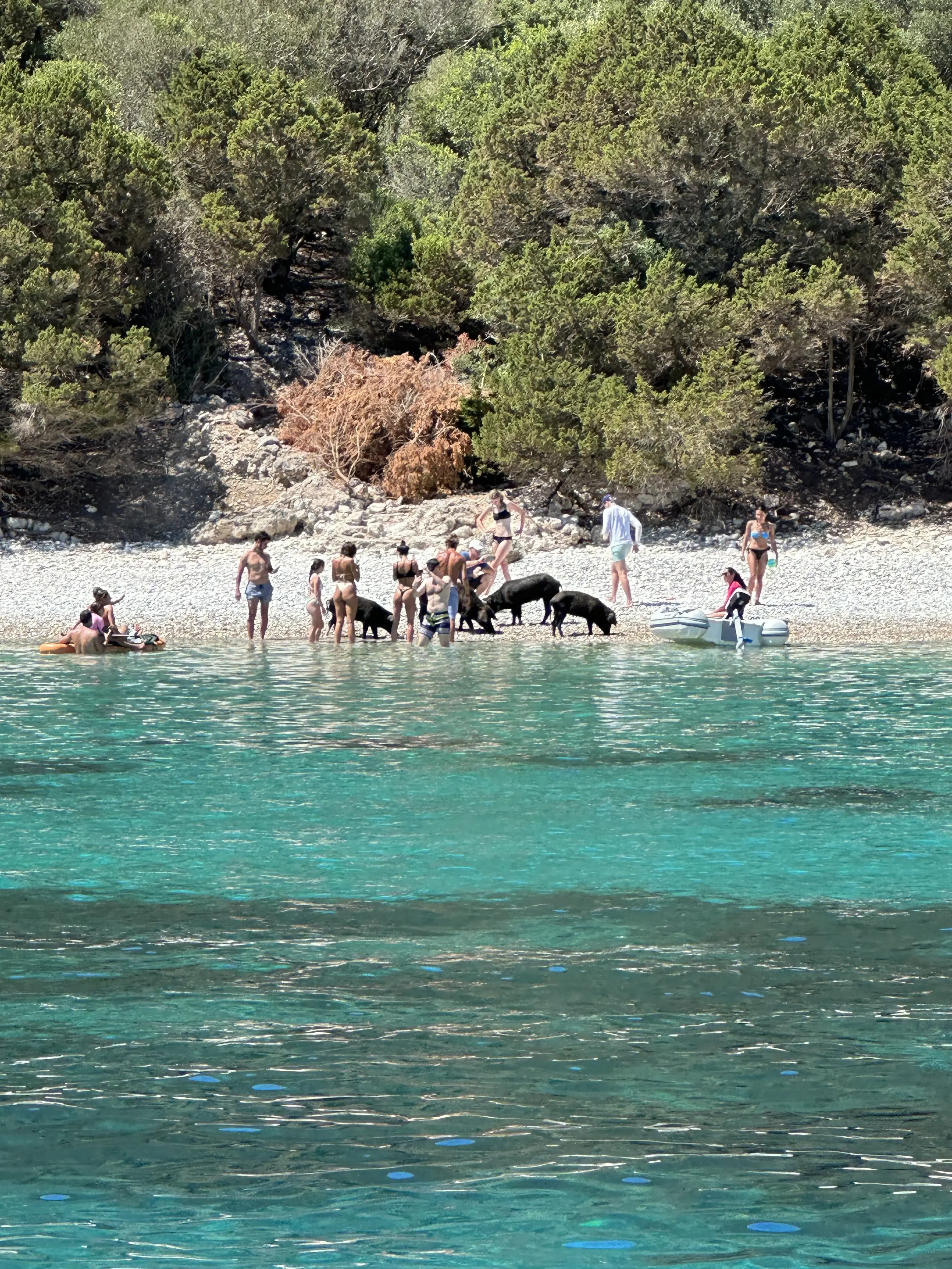 Kefalonia Day Trips 14