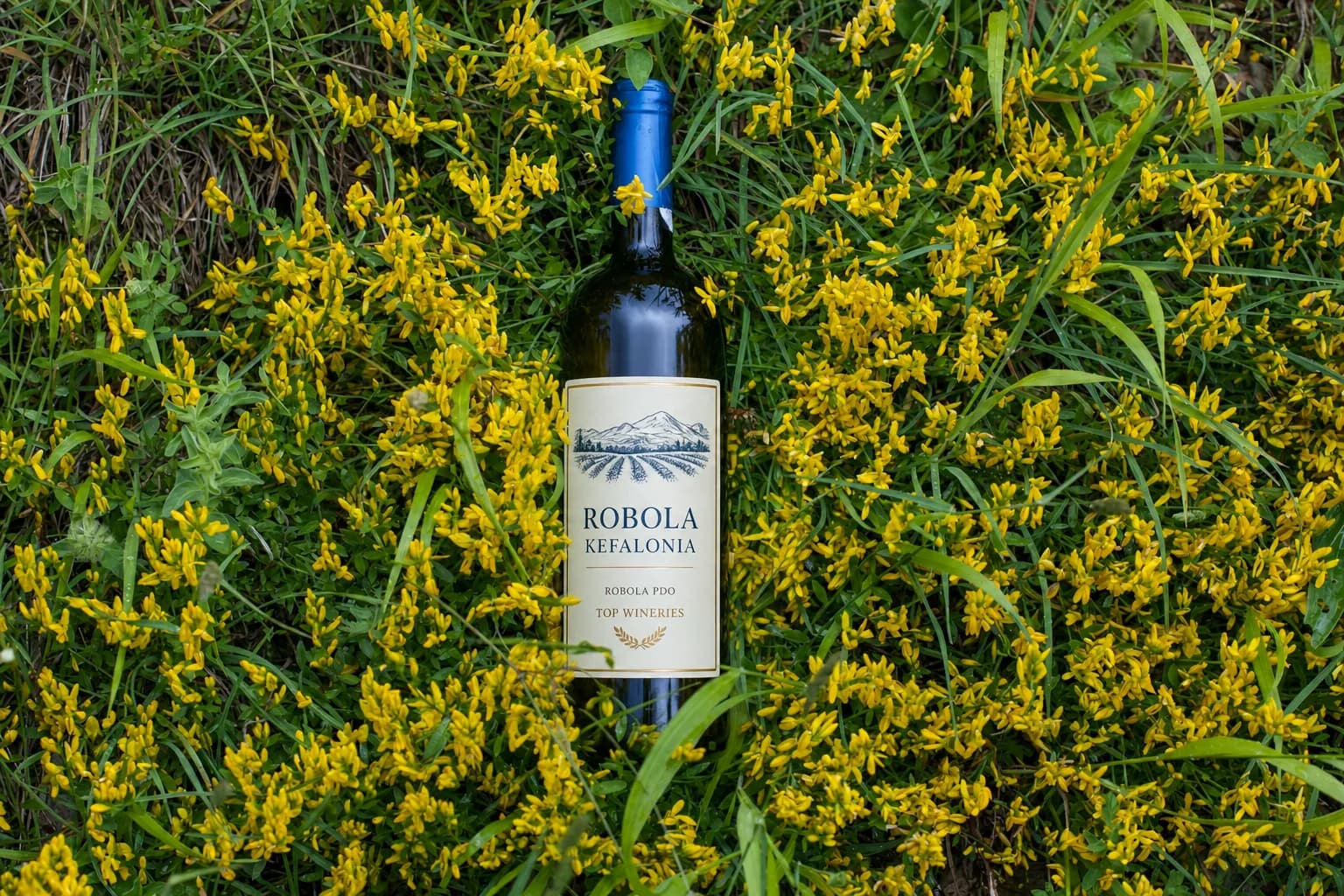 Kefalonia Wine Tour 2026: The Ultimate Robola Guide